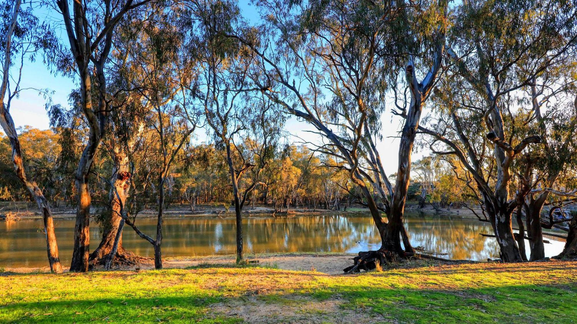Deniliquin Riverside Caravan Park Dış mekan fotoğraf
