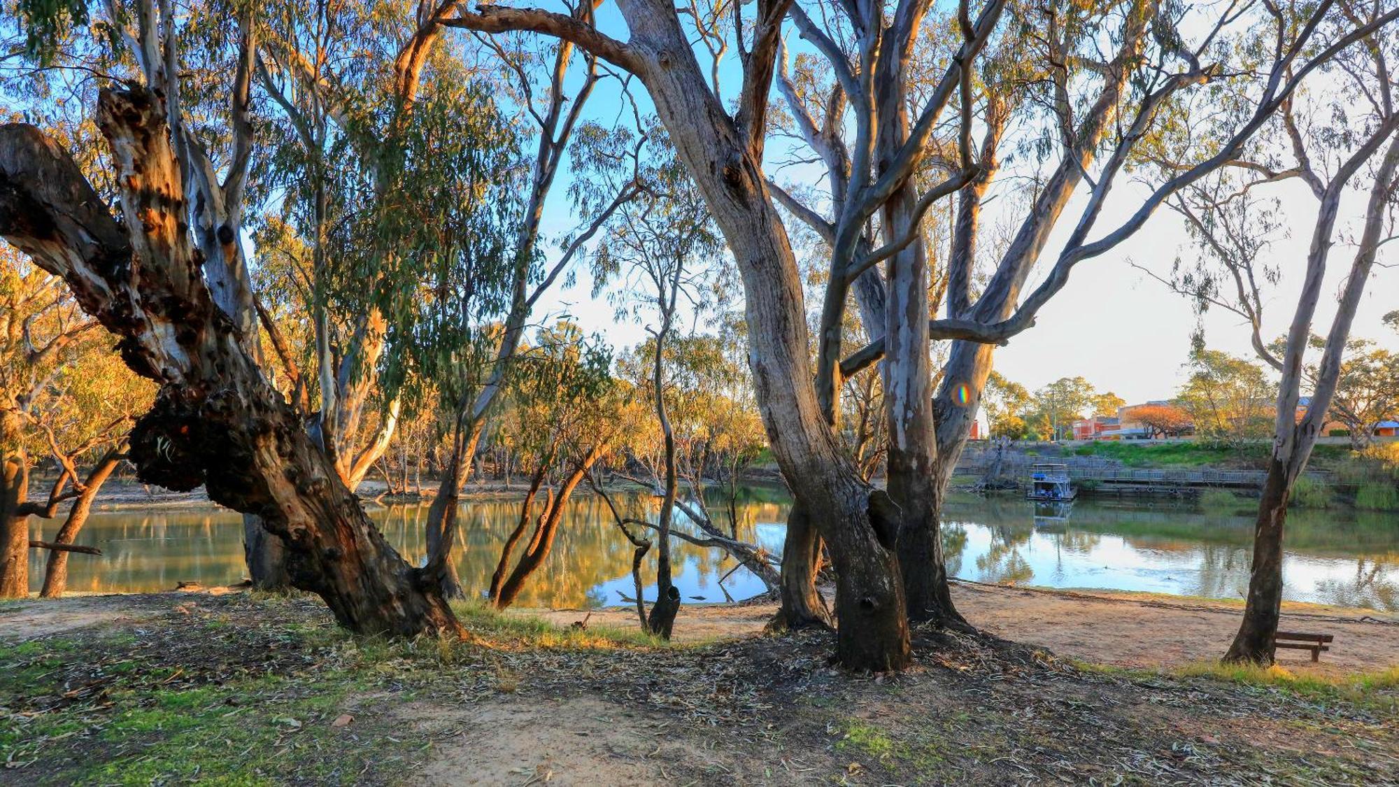 Deniliquin Riverside Caravan Park Dış mekan fotoğraf